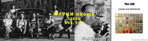 хмурый Алзамай