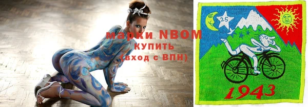 хмурый Алзамай