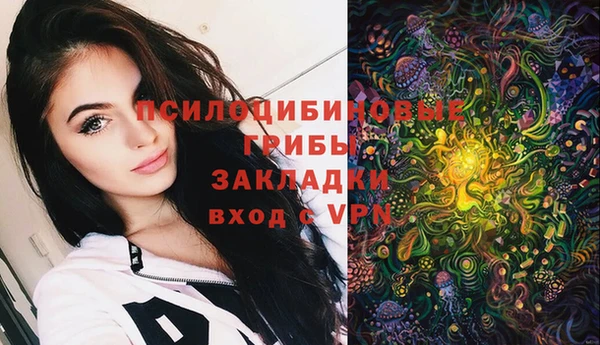 МДПВ Алексеевка